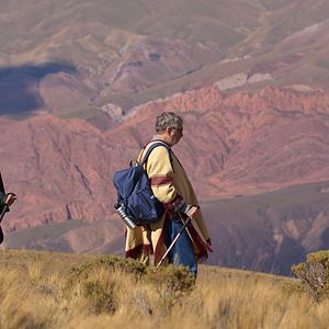 Bilder Mi obra maestra