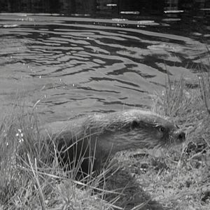 Bilder Das große Abenteuer