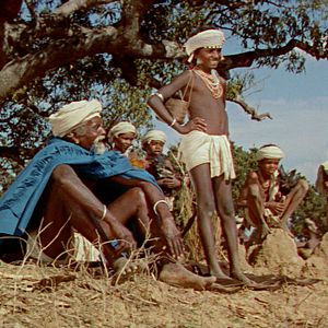 Bilder Dschungelsaga