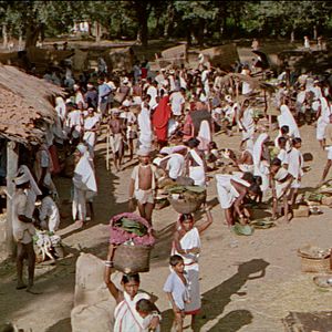 Bilder Dschungelsaga