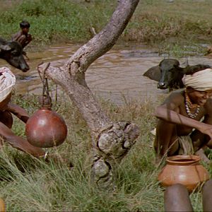 Bilder Dschungelsaga