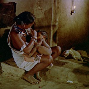 Bilder Dschungelsaga