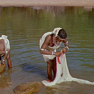 Bilder Dschungelsaga