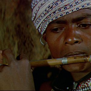 Bilder Dschungelsaga