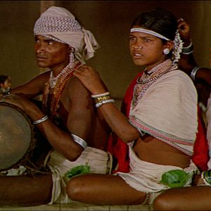 Bilder Dschungelsaga