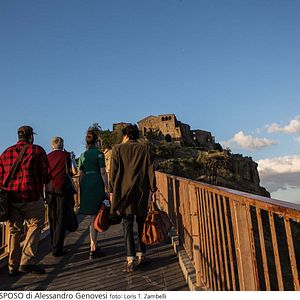 Bilder My Big Crazy Italian Wedding