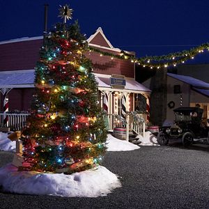 Bilder Janette Oke: Die Coal Valley Saga