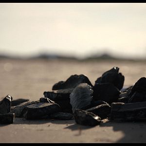 Bilder Die grüne Lüge