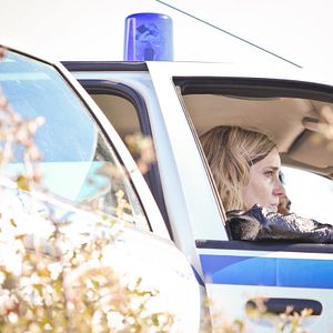 Bilder Das Wunder im Meer von Sargasso