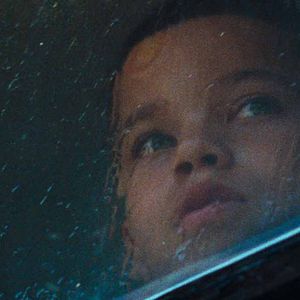 Bilder We The Animals