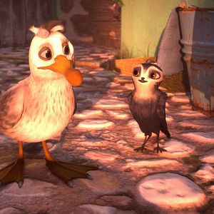 Bilder Manou – flieg‘ flink!