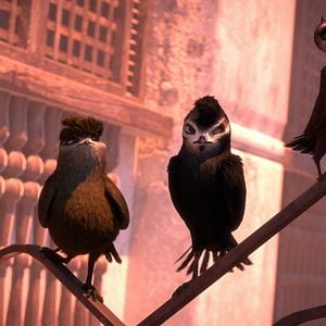 Bilder Manou – flieg‘ flink!