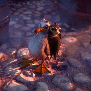 Bilder Manou – flieg‘ flink!