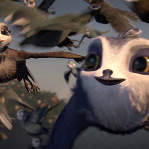 Bilder Manou – flieg‘ flink!