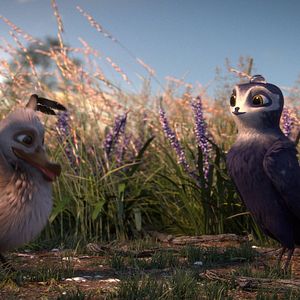 Bilder Manou – flieg‘ flink!