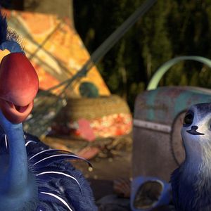 Bilder Manou – flieg‘ flink!