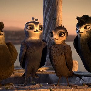 Bilder Manou – flieg‘ flink!