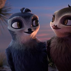 Bilder Manou – flieg‘ flink!