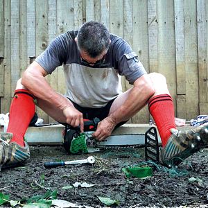 Bilder Un berger et deux perchés à l'Elysée ?