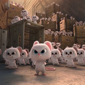 Bilder Operation Nussknacker 2: Voll auf die Nüsse