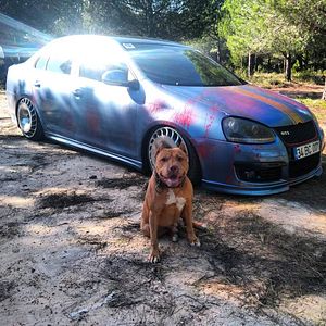 Bilder Uçurum - Asla Arkana Bakma