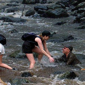 Bilder Le Fruit de l'espoir