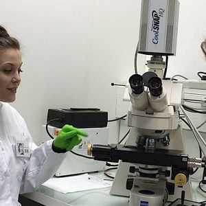 Bilder Le Fruit de l'espoir