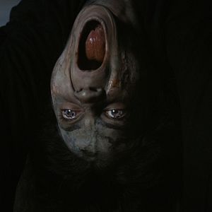 Bilder Üç Harfliler: Adak