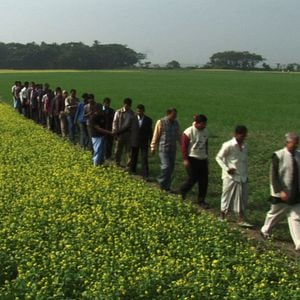 Bilder Social Business