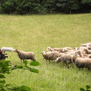 Bilder Un lien qui nous élève