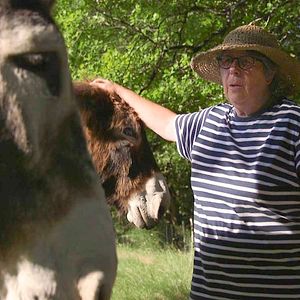 Bilder Un lien qui nous élève