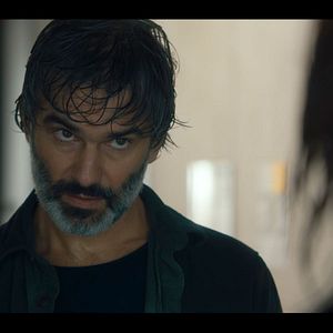 Bilder François Vincentelli