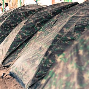 Bilder Coração que Acolhe