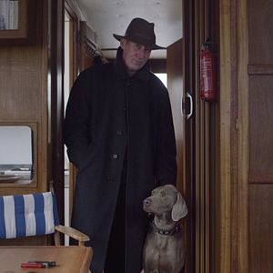 Bilder Der Esel hieß Geronimo