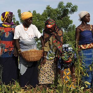 Bilder Burkinabè Bounty