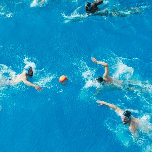 Bilder Die glitzernden Garnelen