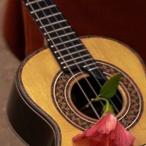 Bilder Corpo Quilombo