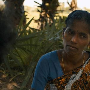 Bilder Die Schatten der Wüste