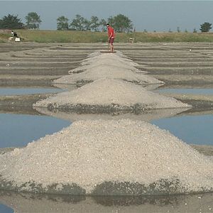 Bilder Paludiers de la Baie