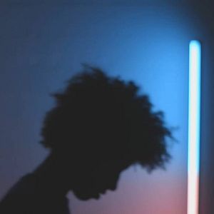 Bilder Where We Belong