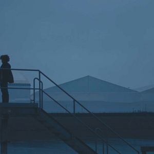 Bilder Where We Belong