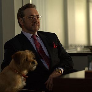 Bilder Billionaire Boys Club