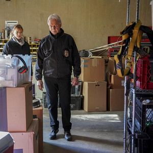 Bilder Emily Wickersham