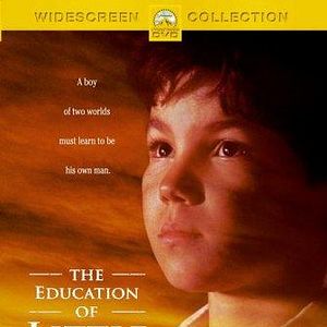 Bilder Die Abenteuer des kleinen Indianerjungen Little Tree