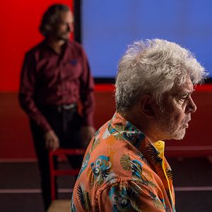Bilder Pedro Almodóvar