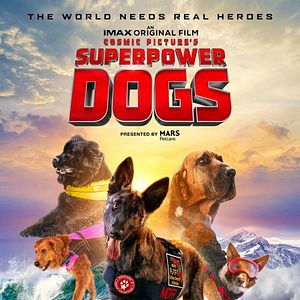 Bilder Superpower Dogs
