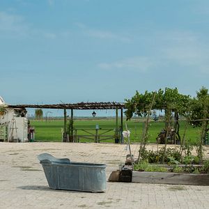 Bilder The Pier - Die fremde Seite der Liebe