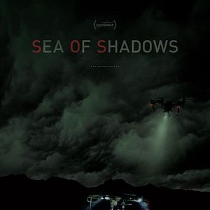 Bilder Sea of Shadows - Der Kampf um das Kokain des Meeres
