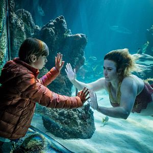 Bilder Callum Booth-Ford