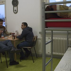 Bilder Khello Brüder